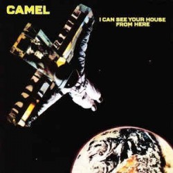 Camel