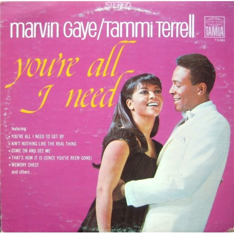 Gaye, Marvin/Tammi Terrell
