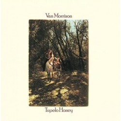 Morrison, Van