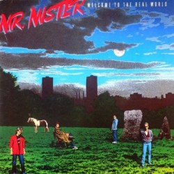 Mr Mister