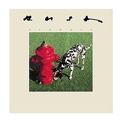Rush