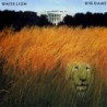 White Lion