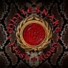 Whitesnake