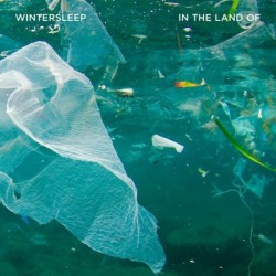 Wintersleep
