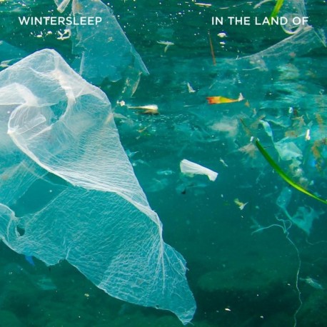 Wintersleep