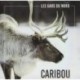 Gars Du Nord, Les