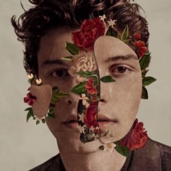 Mendes, Shawn