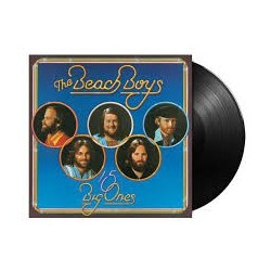 Beach Boys, The
